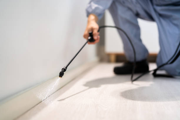 Licensed Pest Control service in Rio Vista, TX - Show Me Pest Control