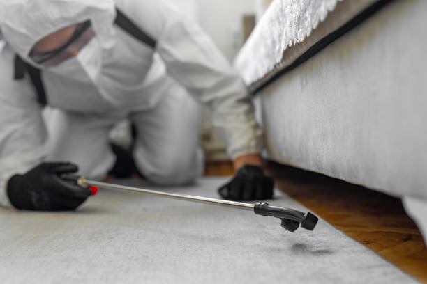 Professional Ant Control technician working in Rio Vista, TX