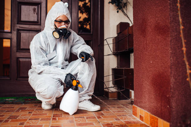 Reliable Ant Control contractor in Rio Vista, TX by Show Me Pest Control